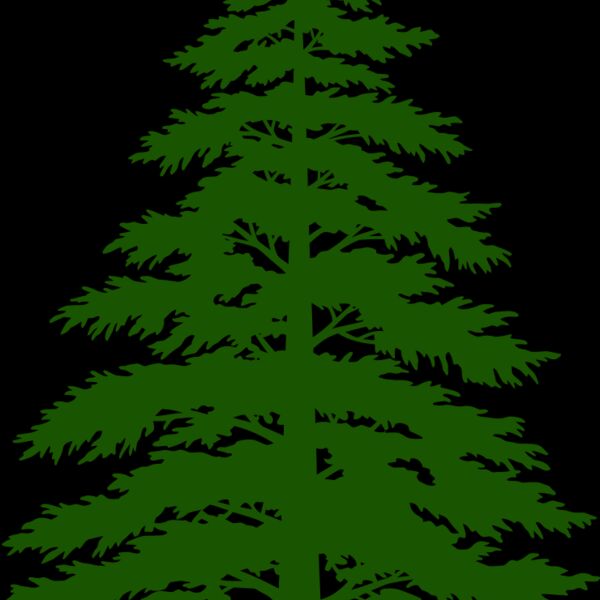 Tree Plant 3 Thumbnail