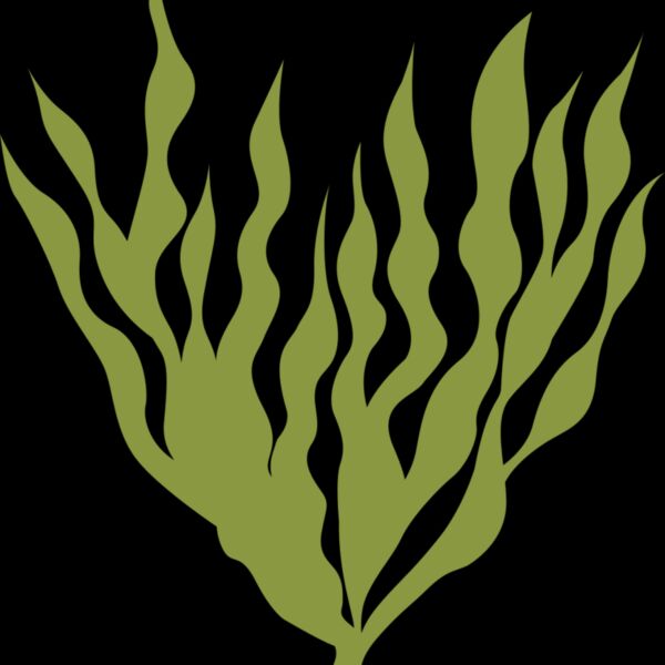Sea Plants 5 Thumbnail