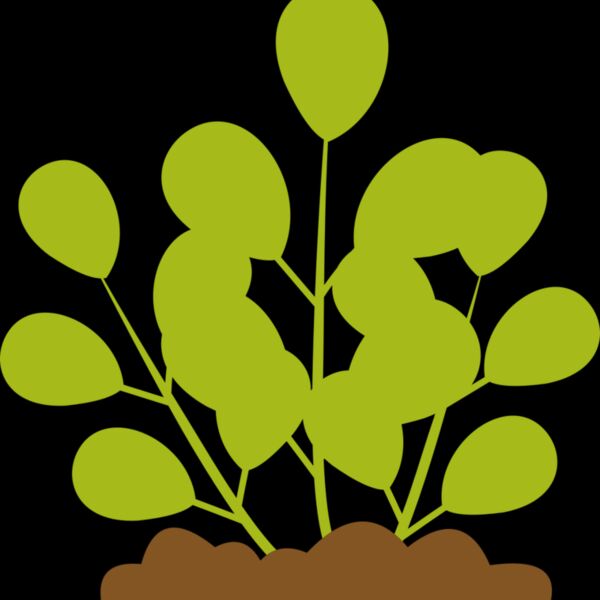 Leaves 12 Thumbnail