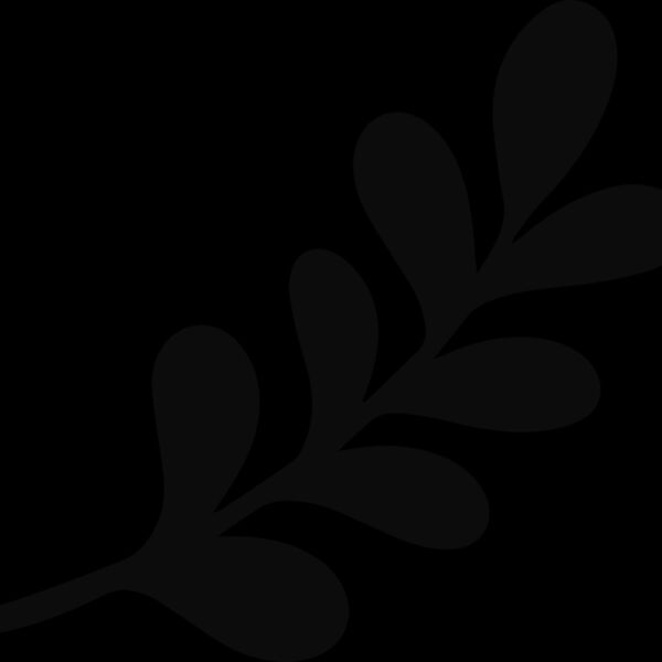 Leaf Stem Branch Thumbnail